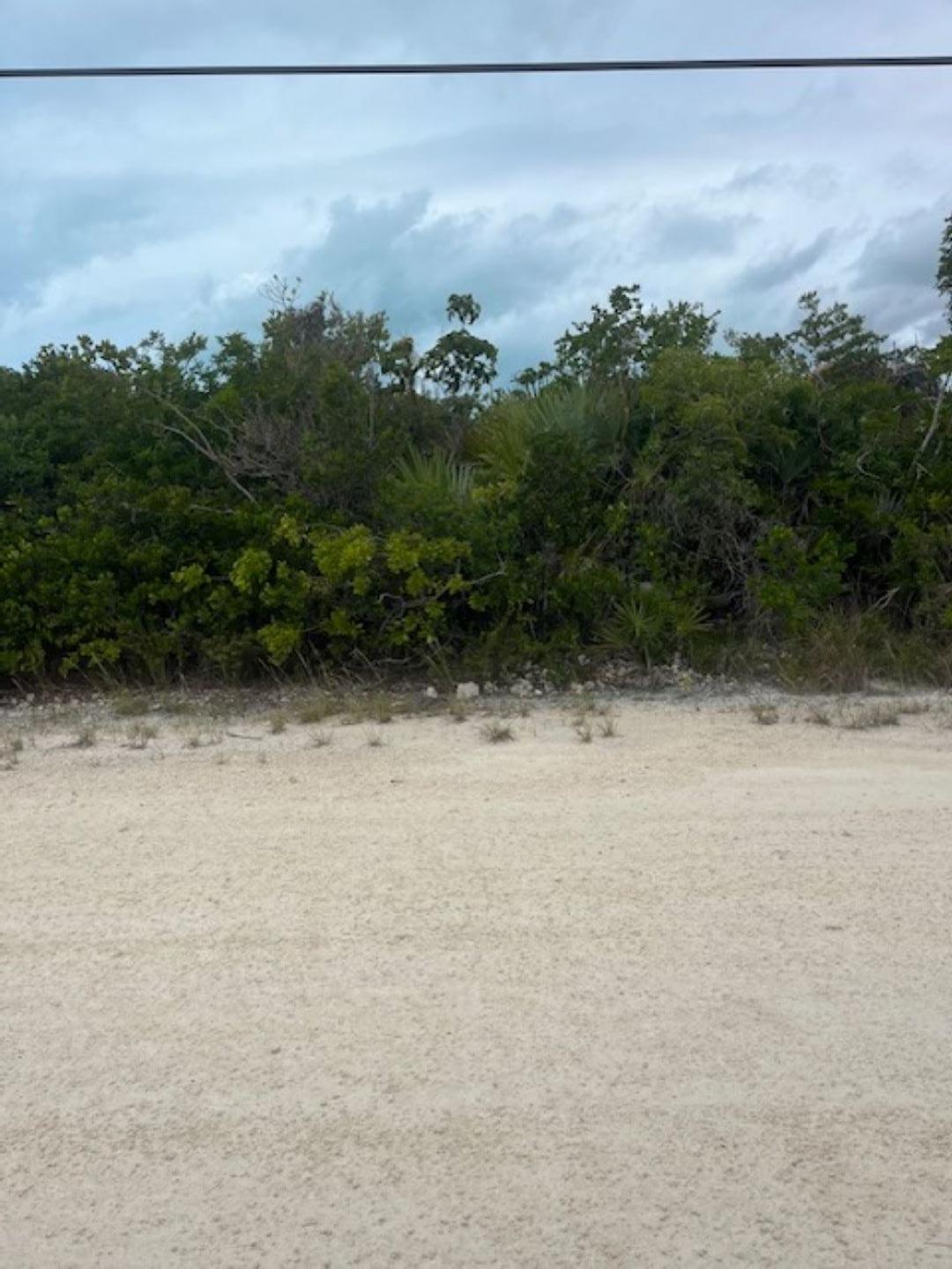 BRENVILLE MILLER RD — photo 4