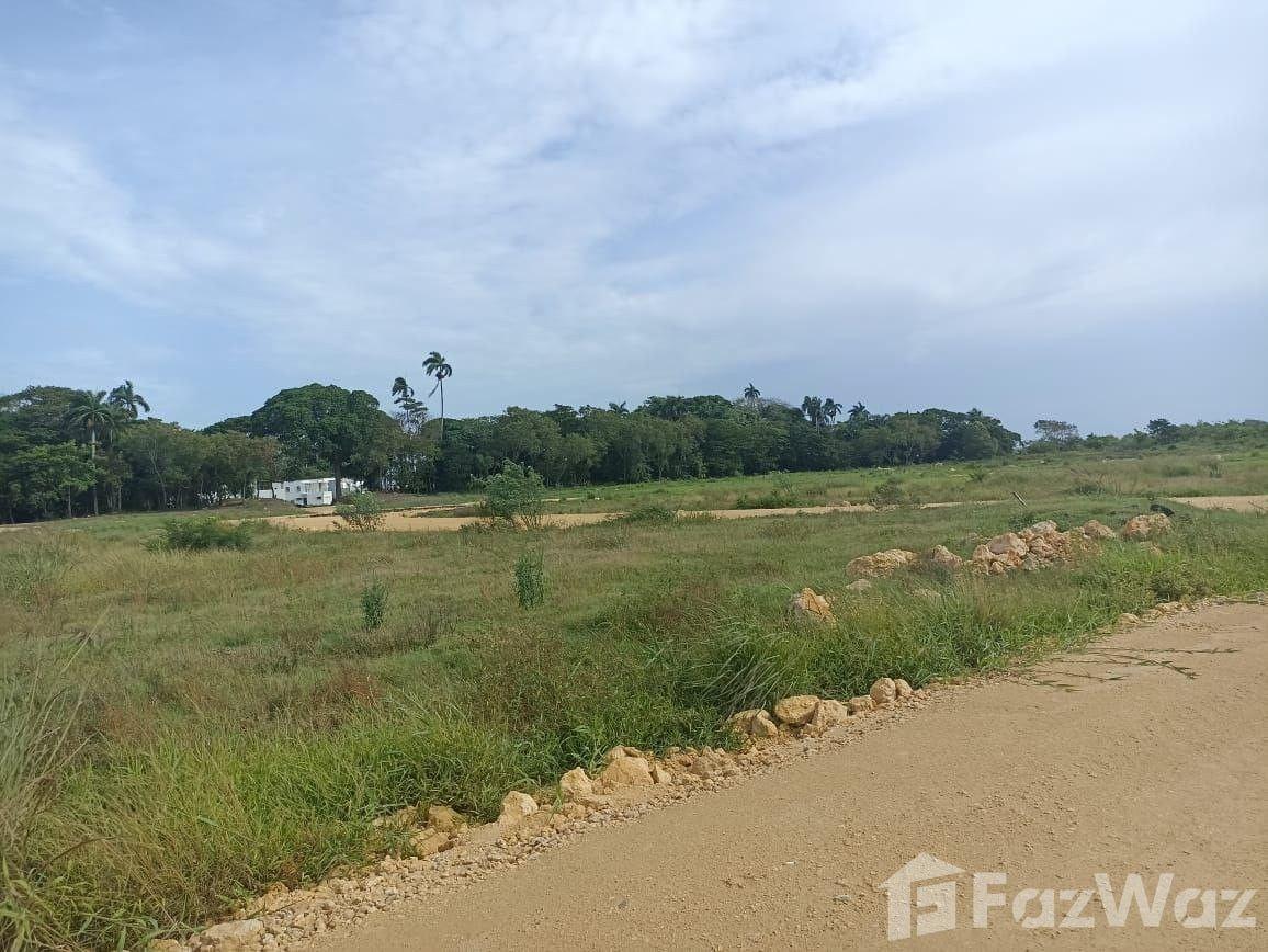 Land for sale in Plantation – Puerto Plata — photo 3