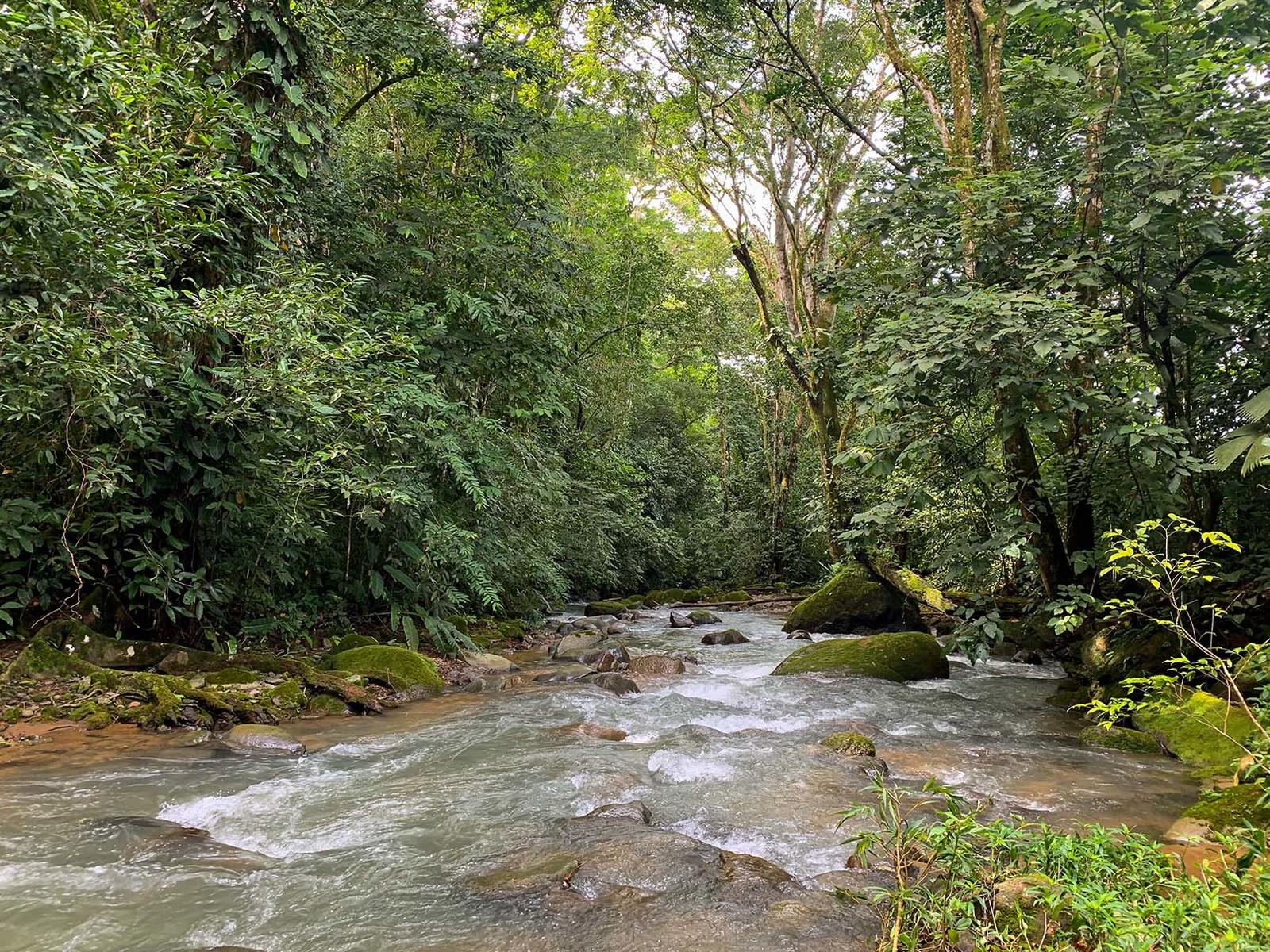 Ocean-view Farm for Sale, Chontales, Ojochal, Puntarenas, Costa Rica — photo 2