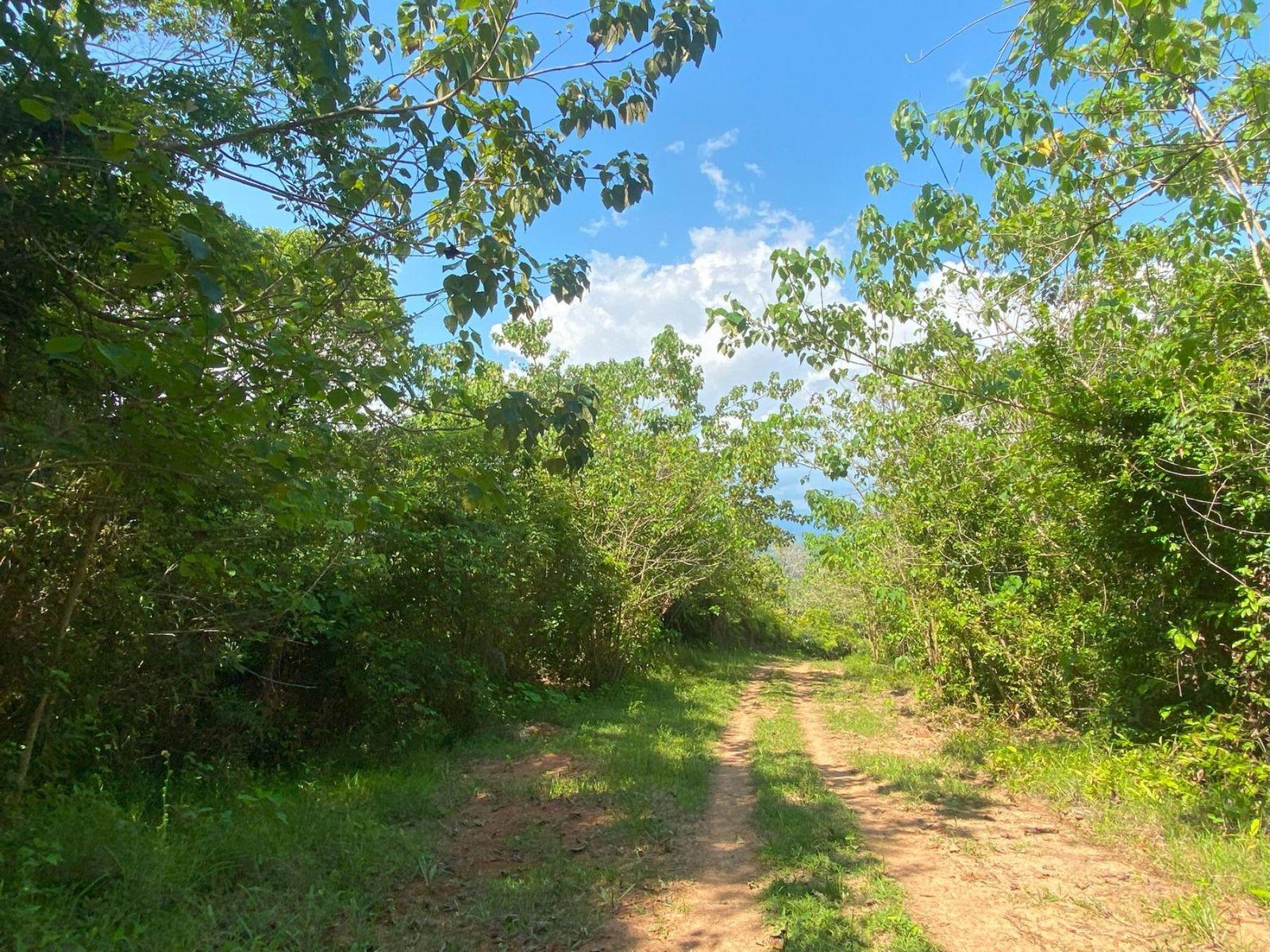 130 Acres of Land for Sale, Golfito, Puntarenas, Costa Rica — photo 2