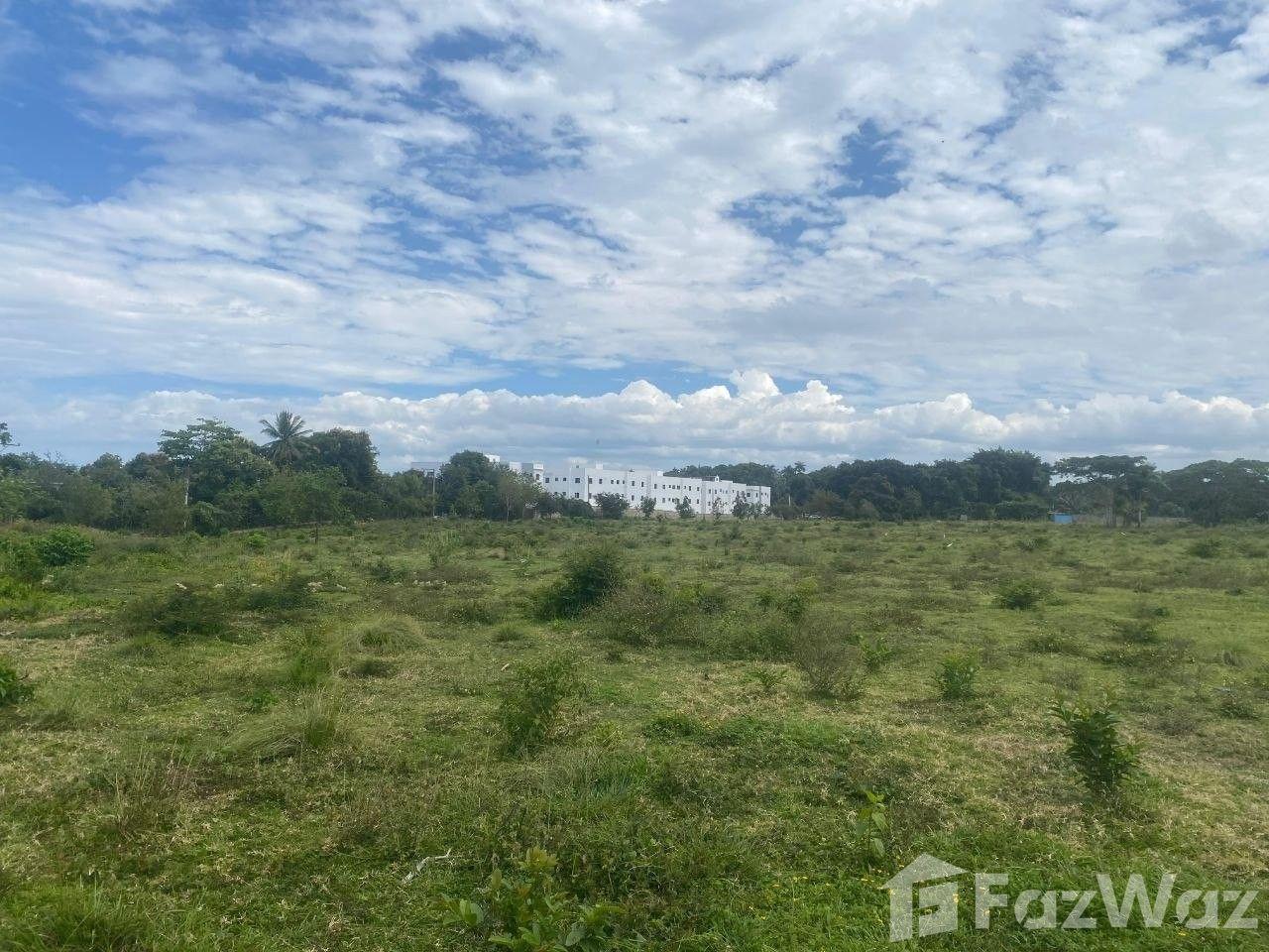 EXCLUSIVE INVESTMENT OPPORTUNITY IN MUÑOZ Puerto Plata — photo 5