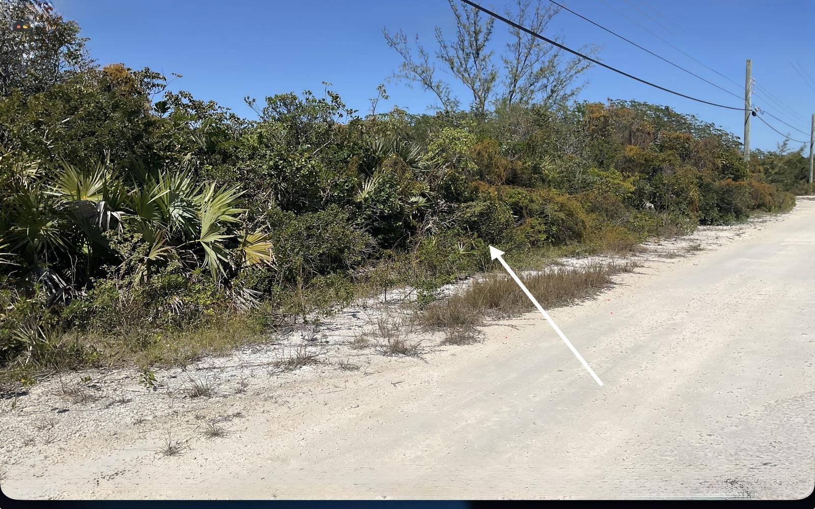 Lot 16 - Mls 65978, Wemyss Settlement, Bahamas — photo 4