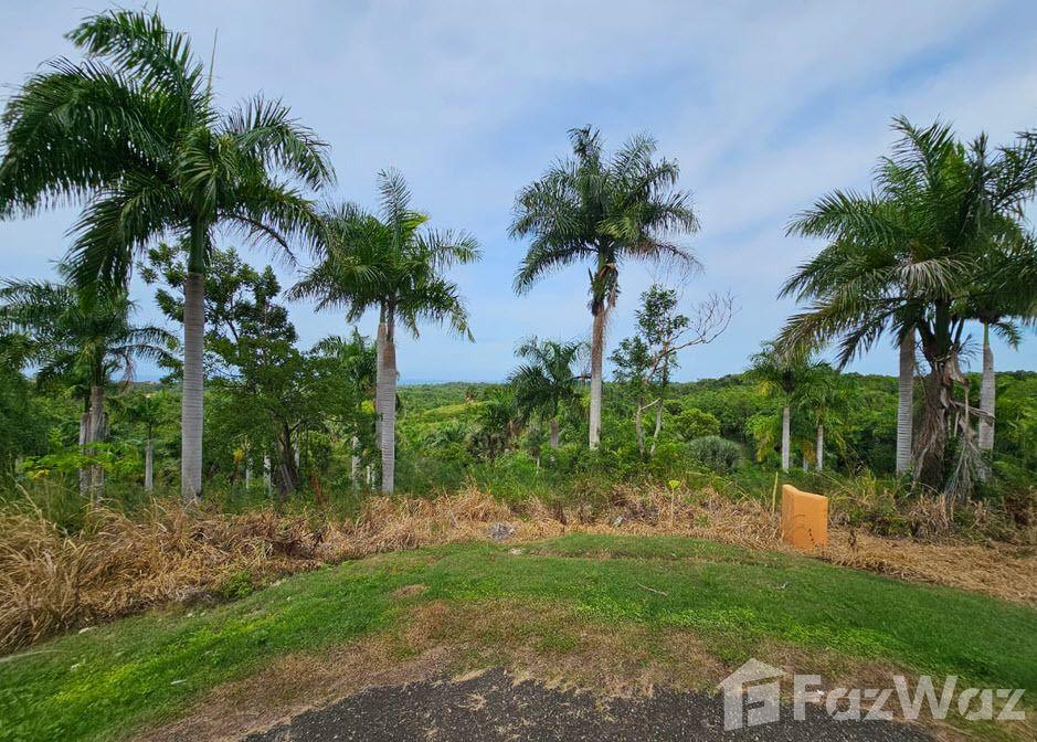 Oceanview Land for Sale in Sosua Panorama Village — photo 1