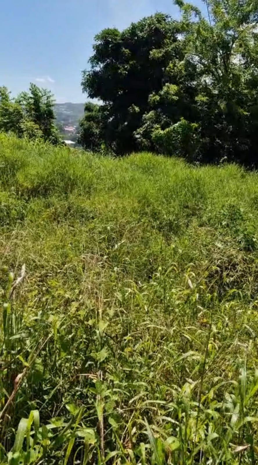 Scarborough Land Lot for Sale — photo 1