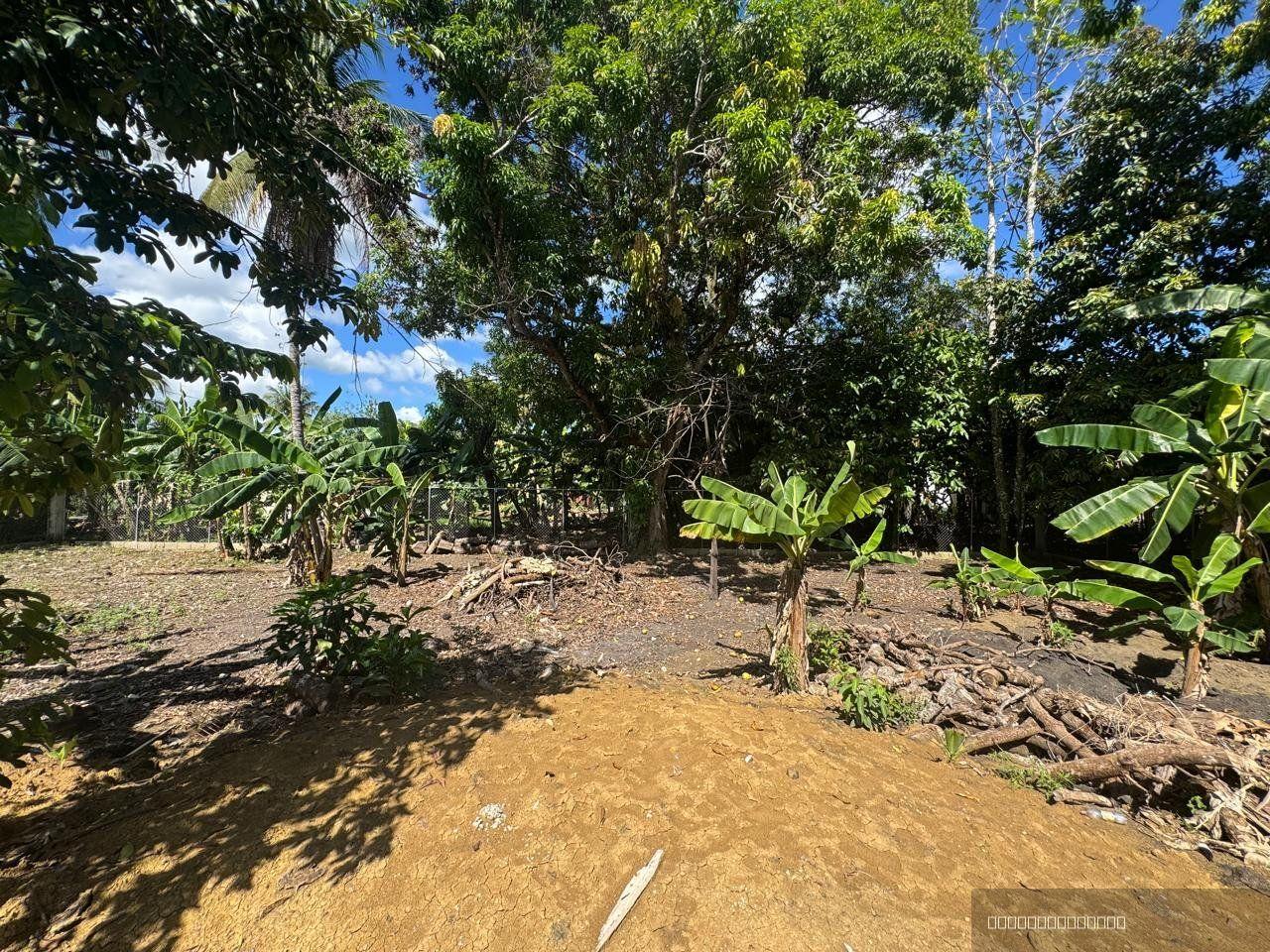3-Bedroom Fixer-Upper in Veragua, Cabarete — photo 2
