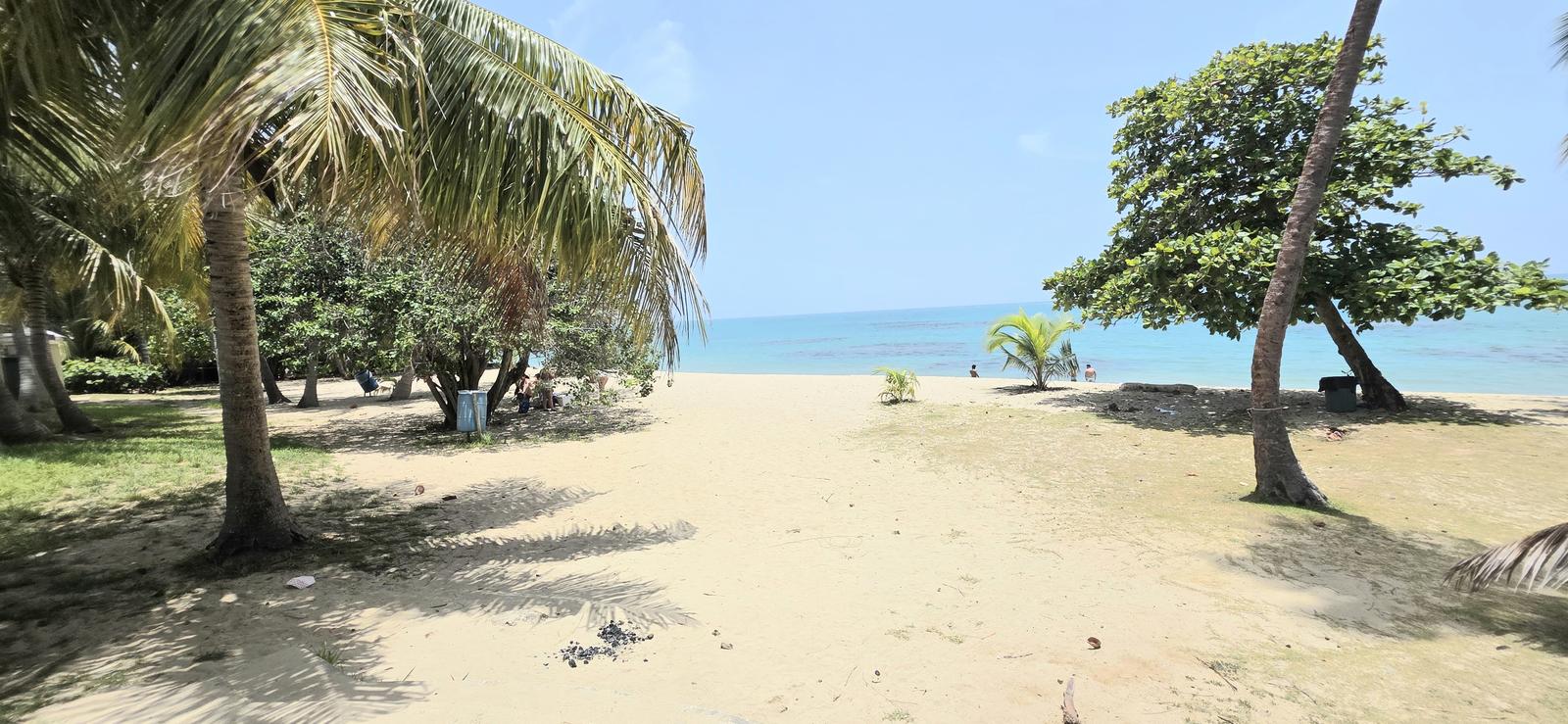 Garden-level Condo with Pool View and Beach Access in Loíza, Puerto Rico — photo 3