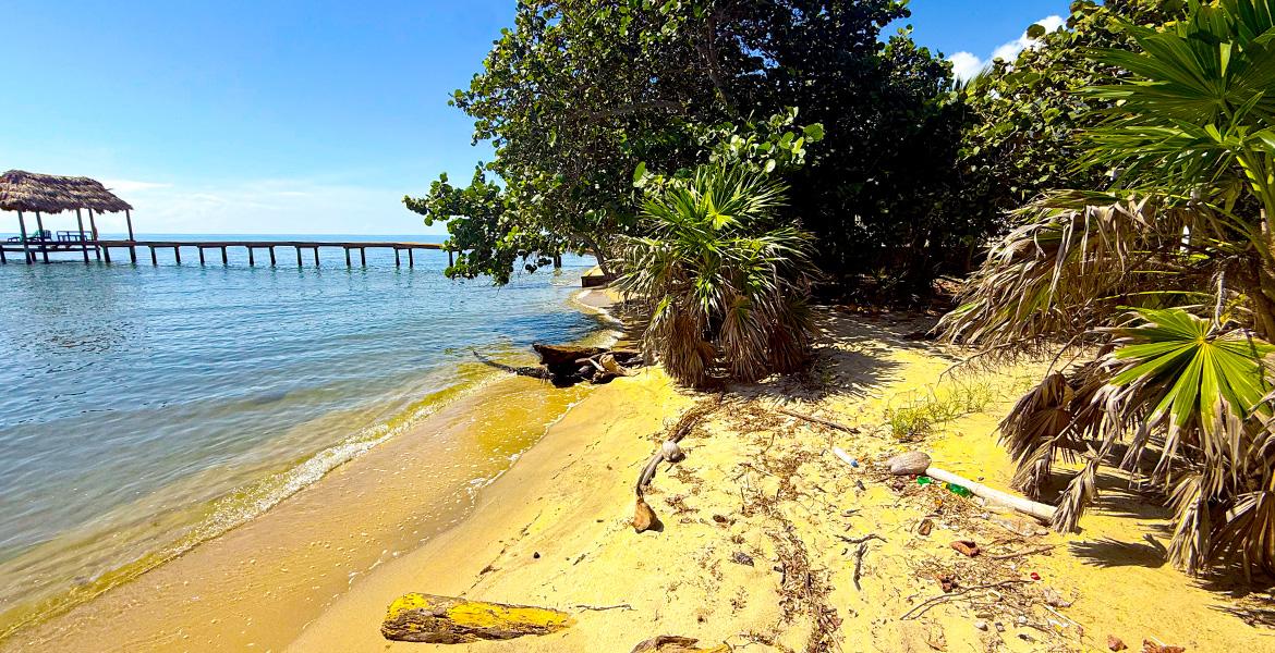 Beachfront Bliss – 3 Bedroom Home in the Plantation — photo 5