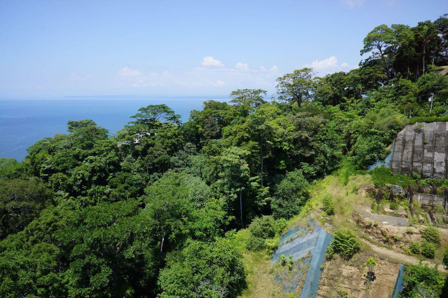 6.16 Hectares of Development Land for Sale — photo 5