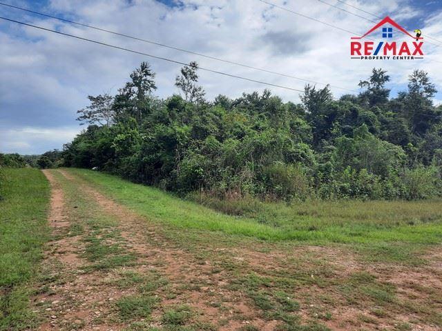 #2522 – A LARGE ONE ACRE LOT NEAR SAN IGNACIO, CAYO DISTRICT — photo 4