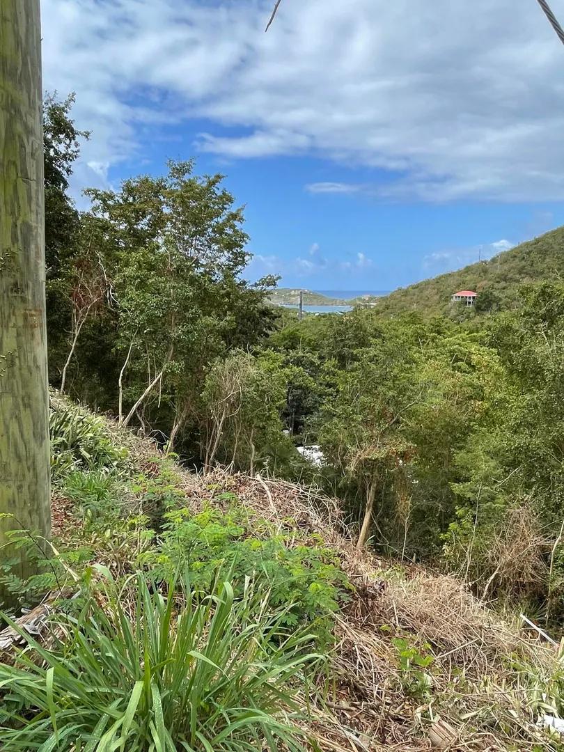 0.32 Acre Lot in Fish Bay, St John Island — photo 5