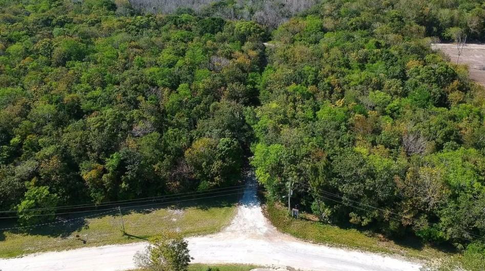 2 Commercial lots at Consejo Shore — photo 4