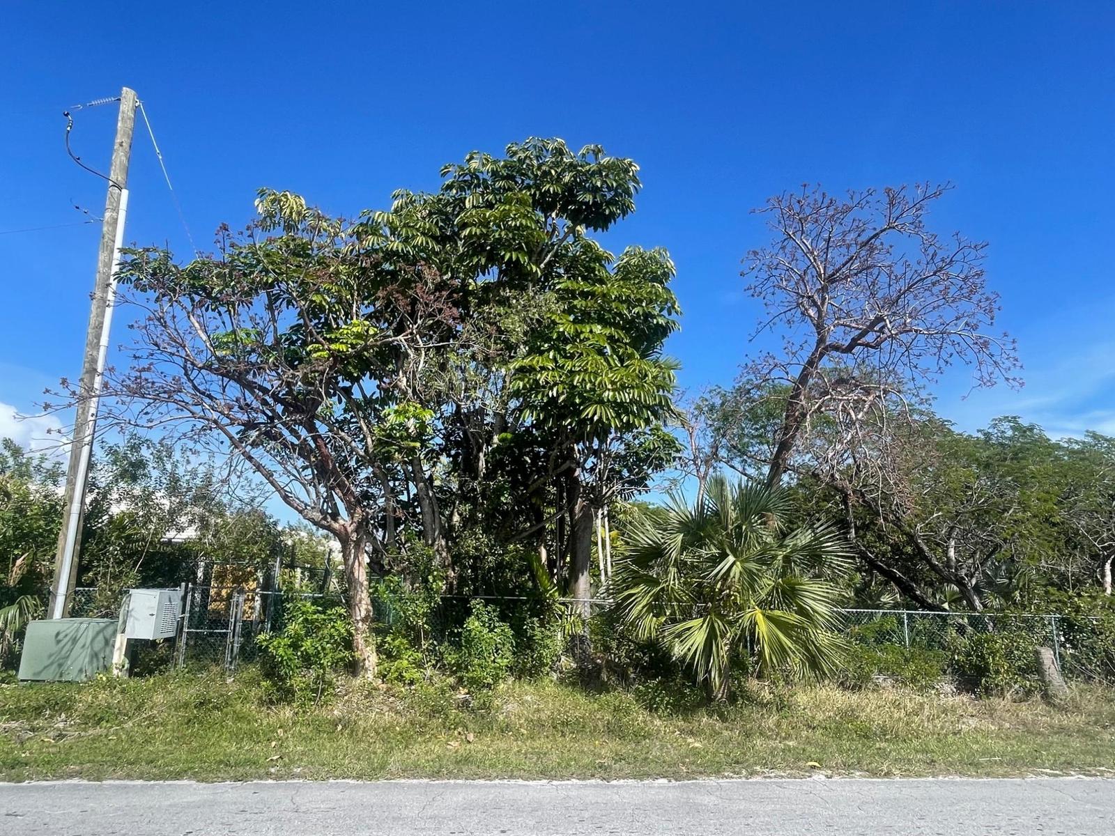 SANTA MARIA AVE. — photo 2