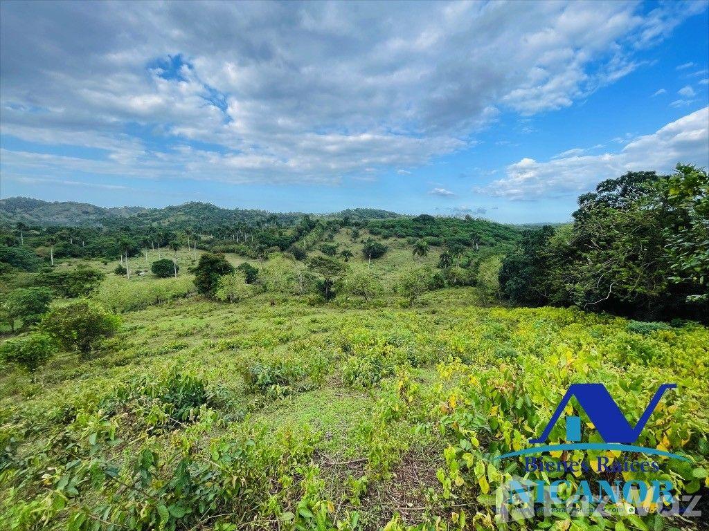 5,200 acre farm for sale in Imbert, Puerto Plata, Dominican Republic — photo 5
