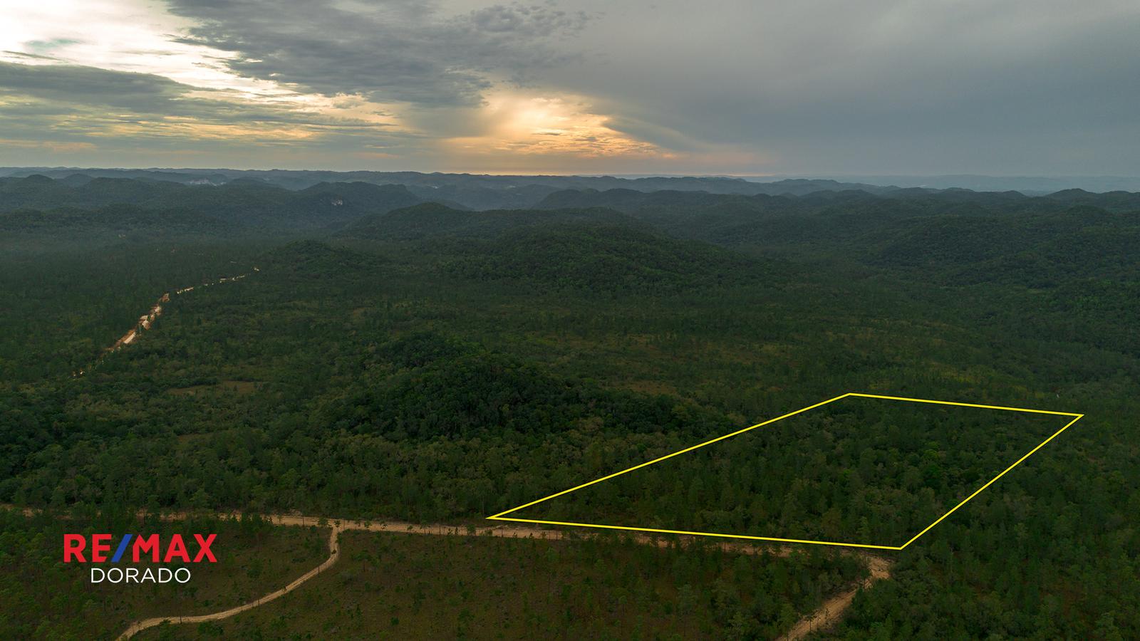 10.22 Acres of Mountain Pine Paradise – Mountain Pine Ridge, Belize — photo 4