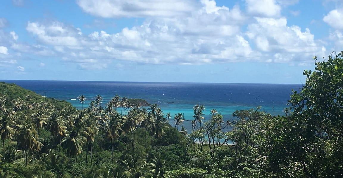 13 Acres of Beachfront Land for Sale, Spring Estate, Bequia — photo 1