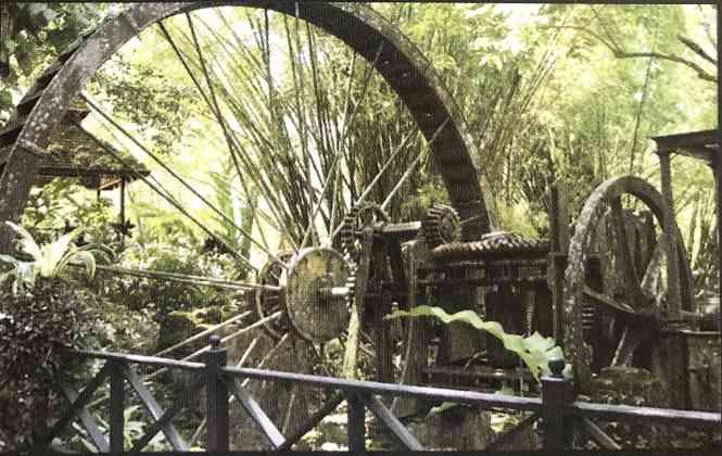 Prime Development Estate for Sale in Tobago — photo 3