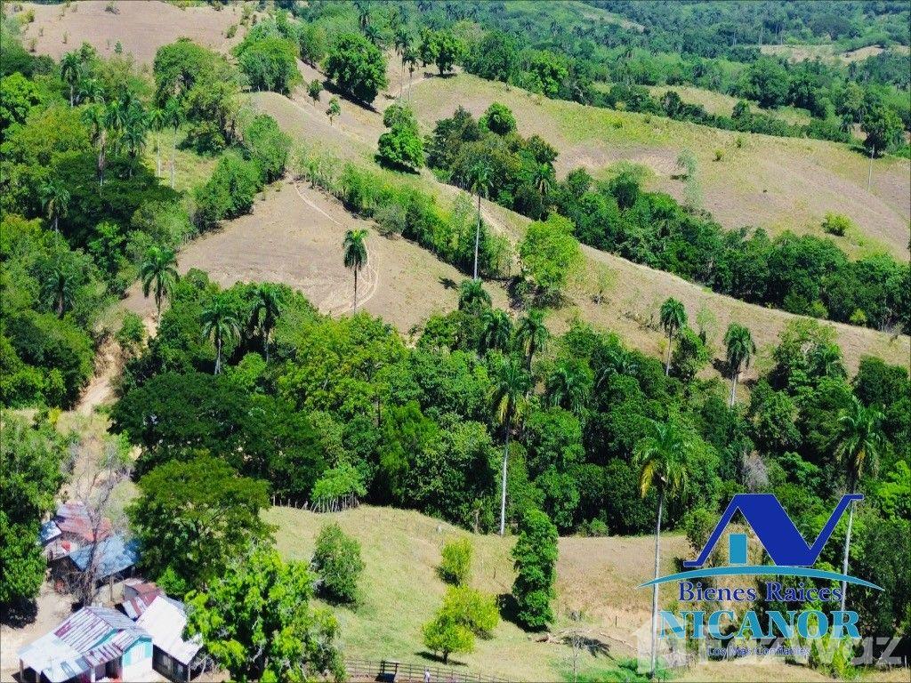 Cattle ranch for sale of 846 tareas in Guananico — photo 2