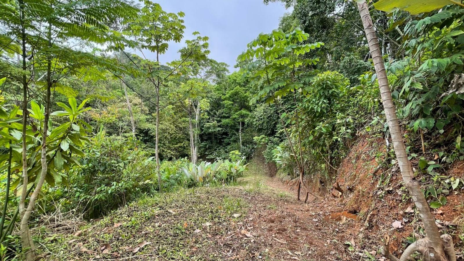 17 Acres of Land for Sale, Uvita, Puntarenas, Costa Rica — photo 5