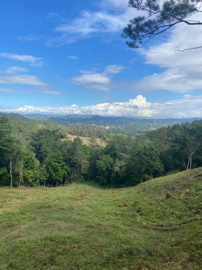 Investment Land for Sale Jarabacoa Dominican Republic — photo 5