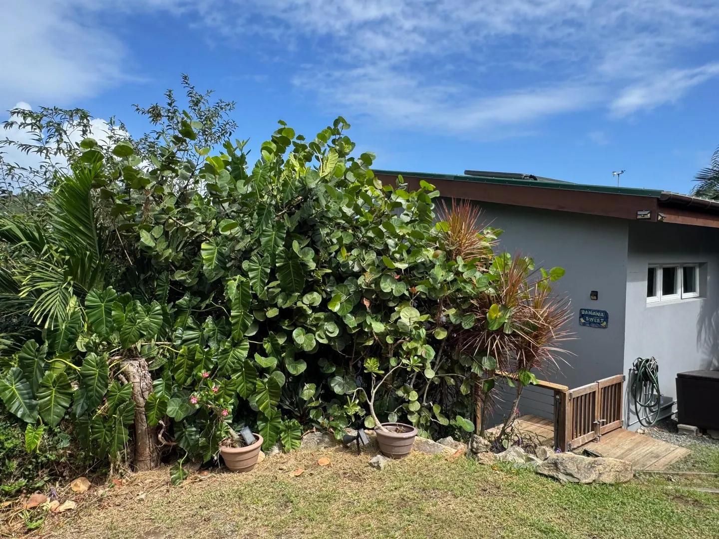 3 Bed 2 Bath House in St John Island — photo 4