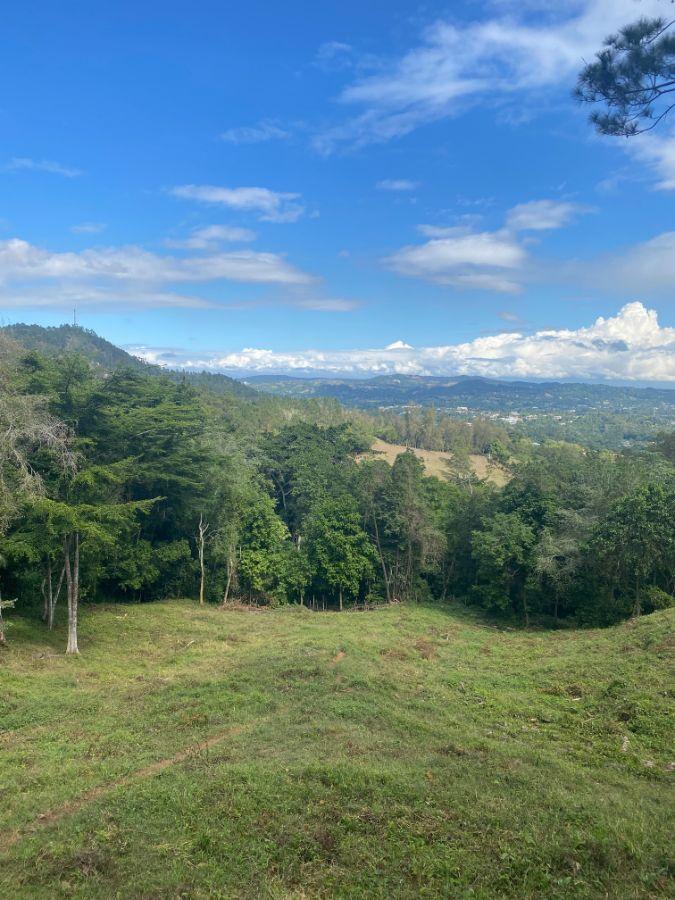 Investment Land for Sale Jarabacoa Dominican Republic — photo 4
