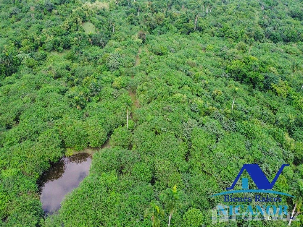 2,300 acre farm for sale — photo 3
