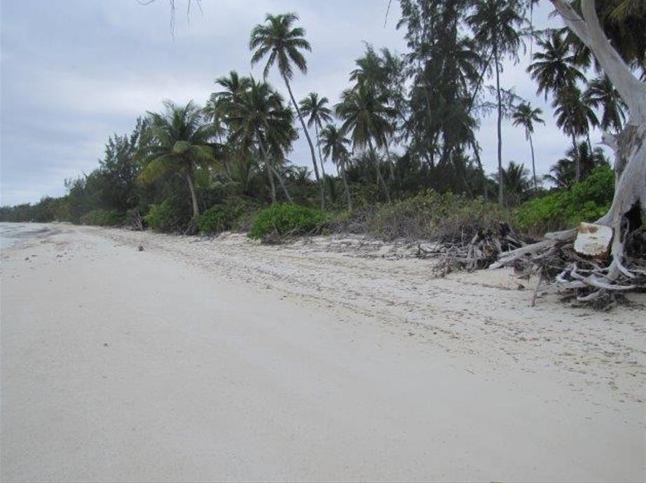 1.020 ACRES MANGROVE CAY — photo 5