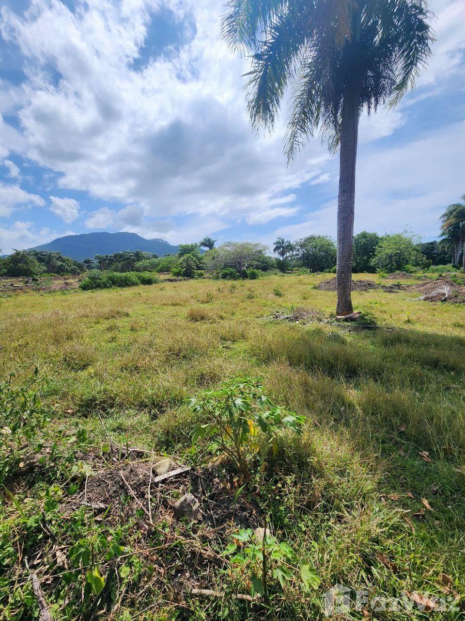 Land for sale in Muñoz, Puerto Plata — photo 4