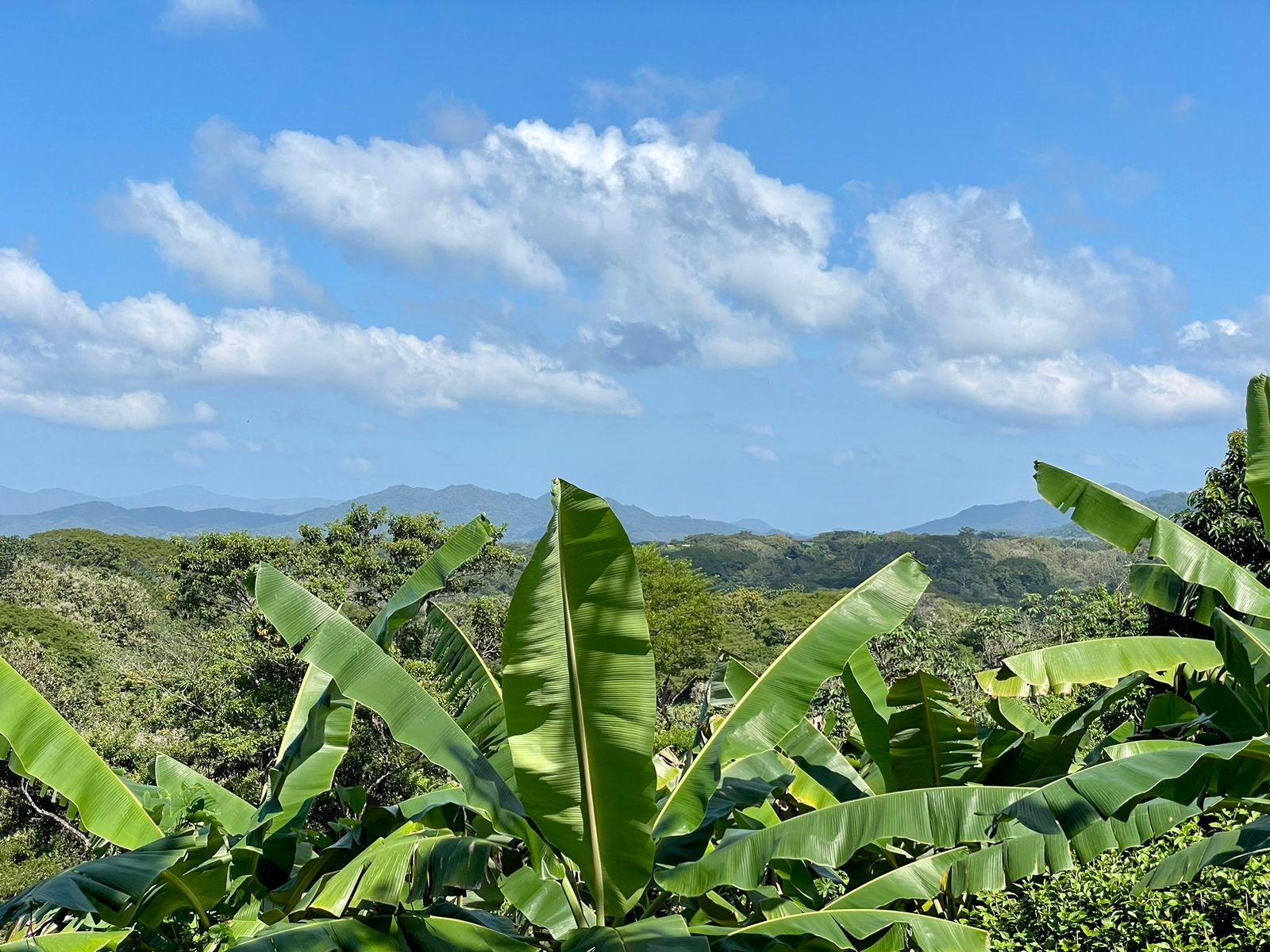 7,103 Sq M Ocean-View Lot for Sale, Manzanillo, Santa Teresa, Puntarenas, Costa Rica — photo 4