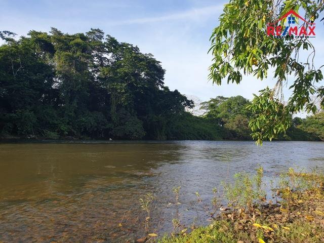 #2513 – 2 BEDROOM HOUSE + 20 ACRES WITH GUEST HOUSE AND RIVER FRONTAGE. — photo 3