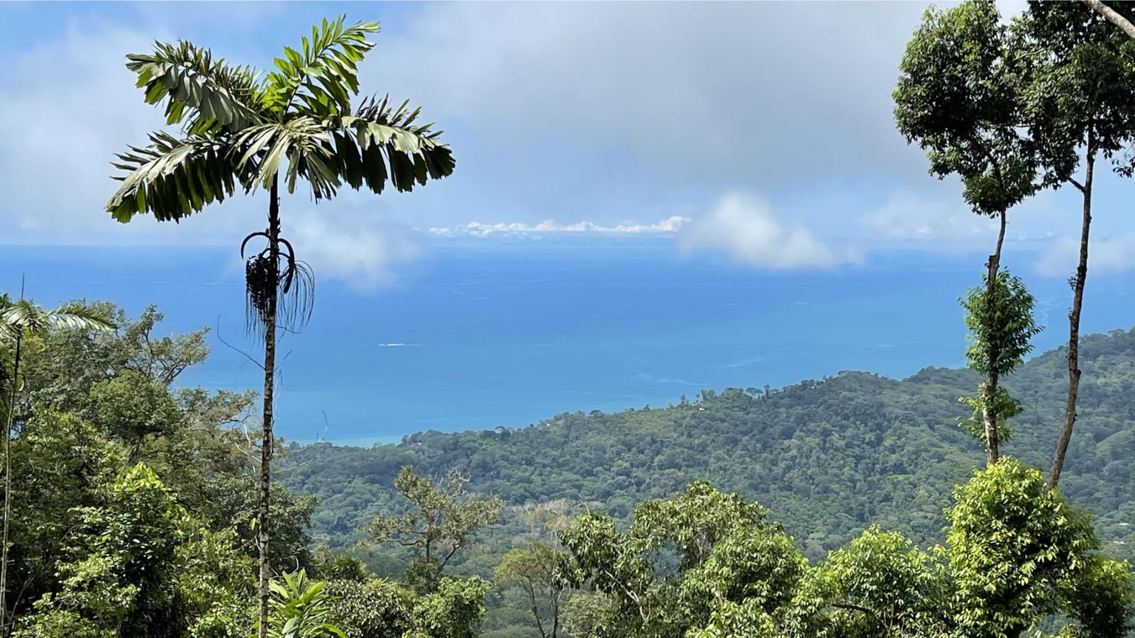 5 Acres Ocean-View Land for Sale in Uvita, Costa Rica — photo 2