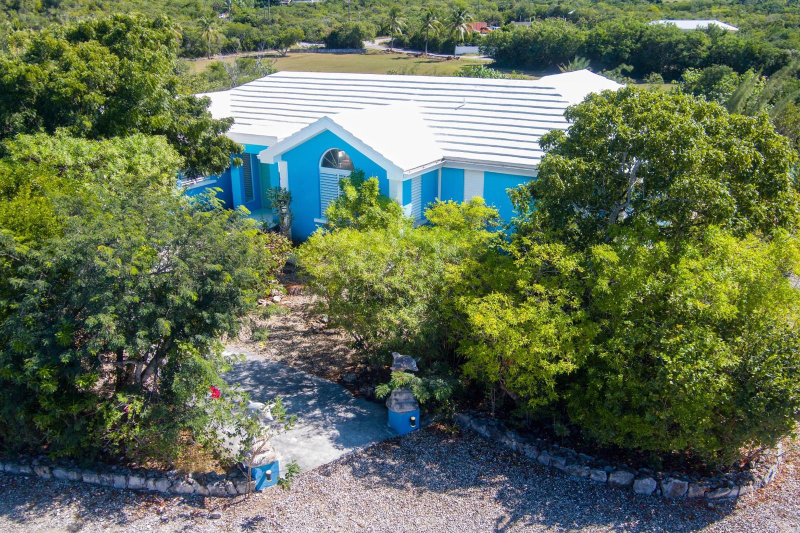 Dolphin Hideaway — photo 5