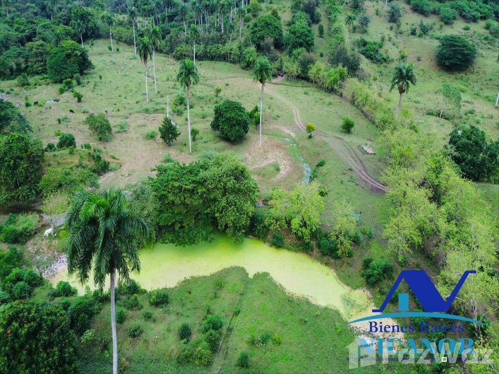 Cattle farm for sale in Imbert, Puerto Plata — photo 5