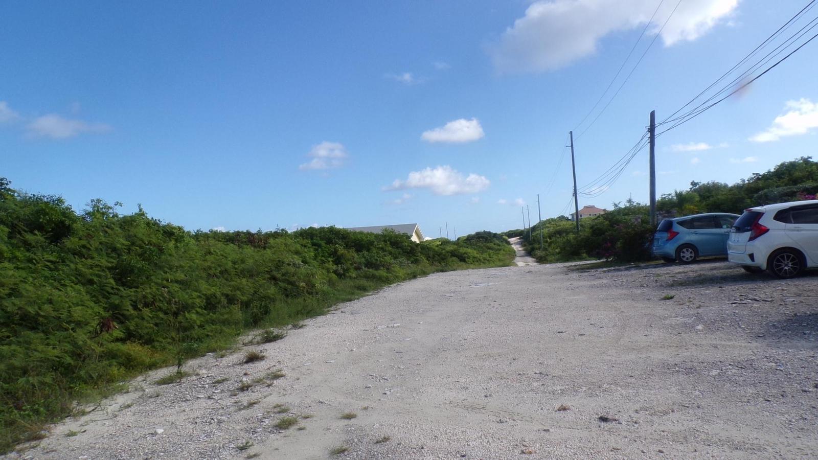 3.49 ACRES BUCKLEY’S — photo 3