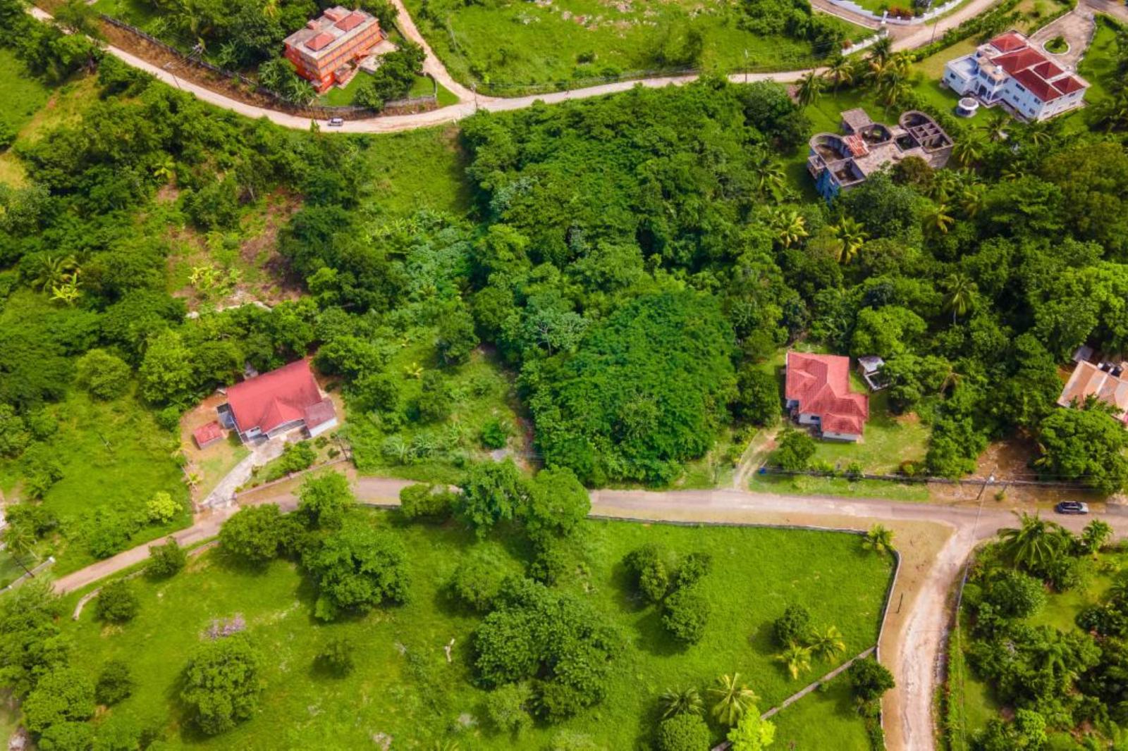 6.7 Acres of Residential Development Land for Sale in Rothsey Cove, Green Island, Hanover, Jamaica — photo 5