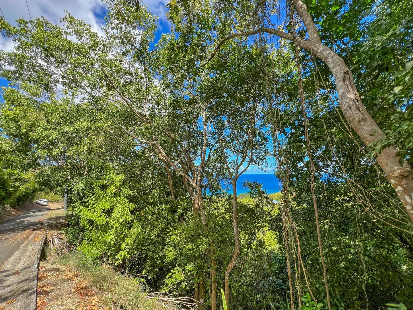 0.58 Acre Lot in Saint Croix — photo 1
