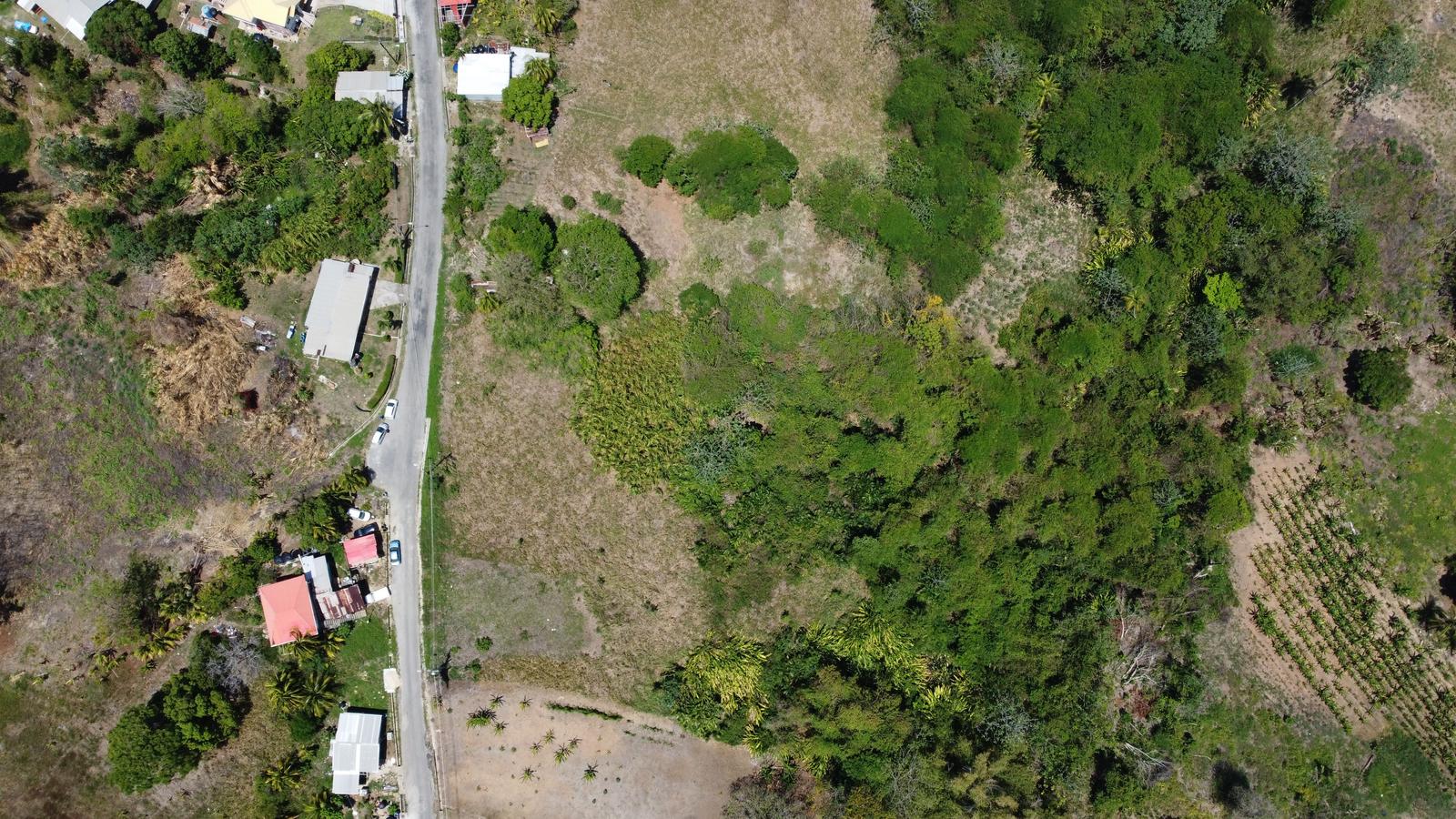 Mayaro Residential Land For Sale — photo 3
