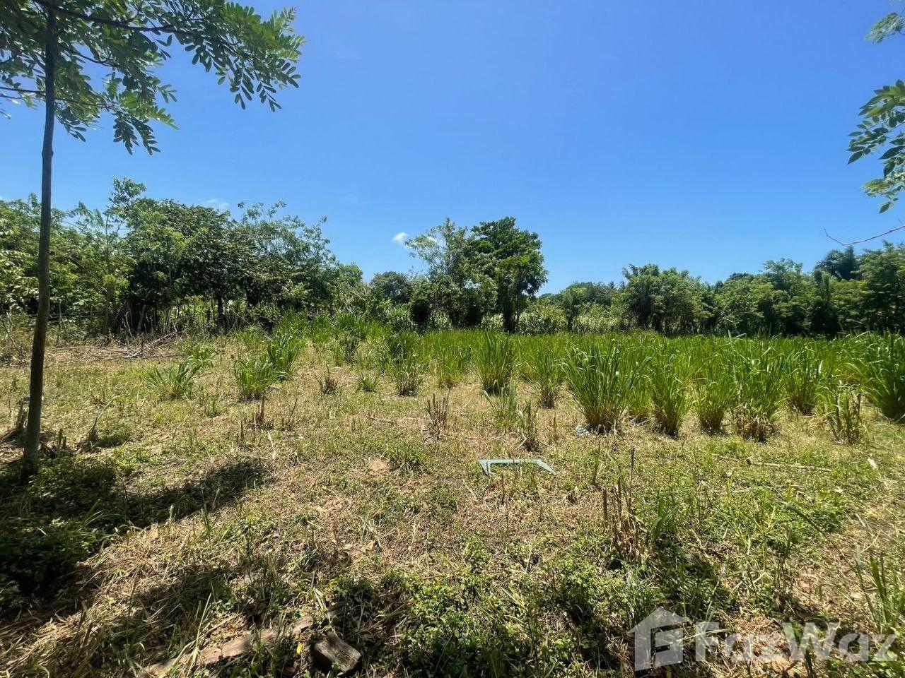 Land for Sale in Maimón – Ideal for a Tourism Project — photo 1
