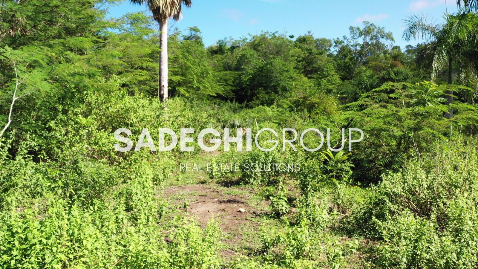 Breathtaking Land For Sale In El Choco Sosua — photo 4