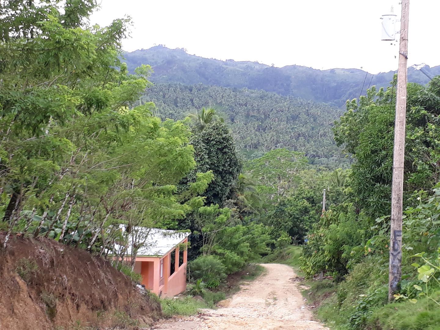 Coconut And Cocoa Farm — photo 5