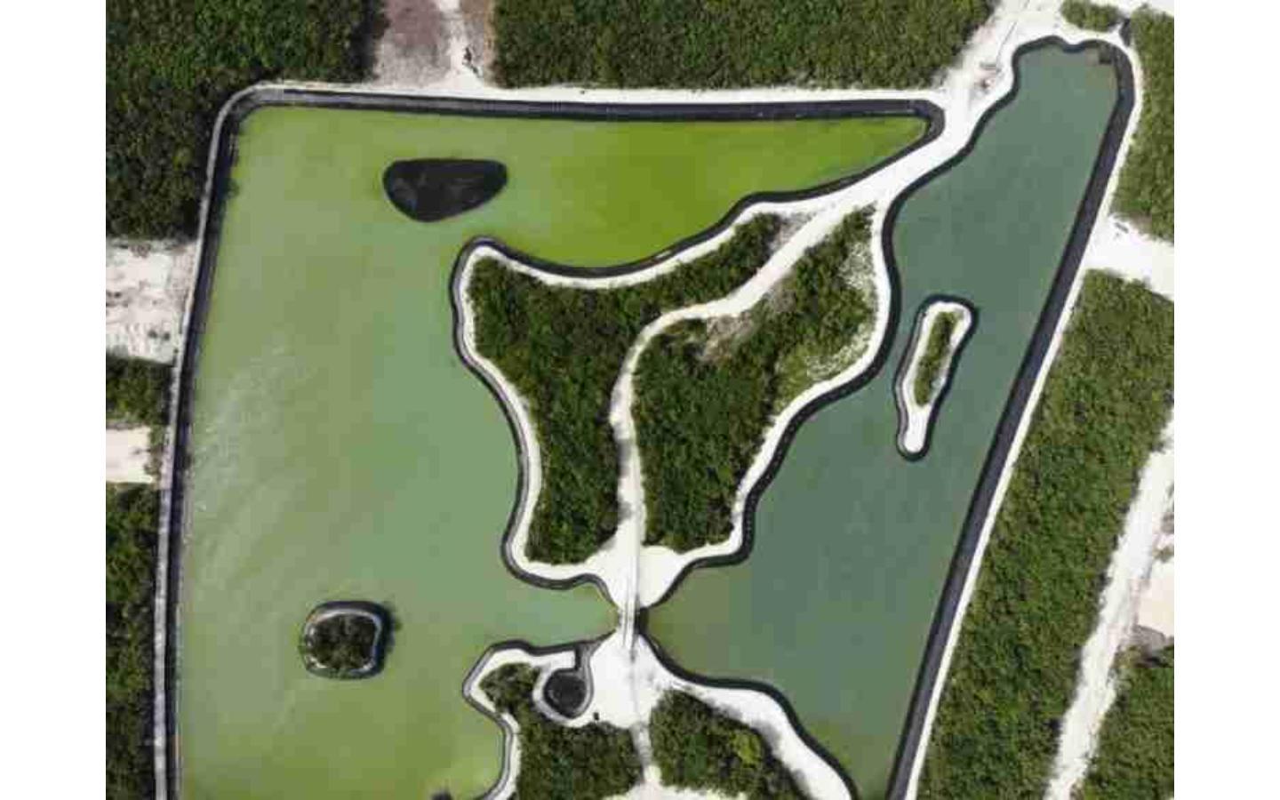 Lakeview Lot For Sale in Punta Cana — photo 3