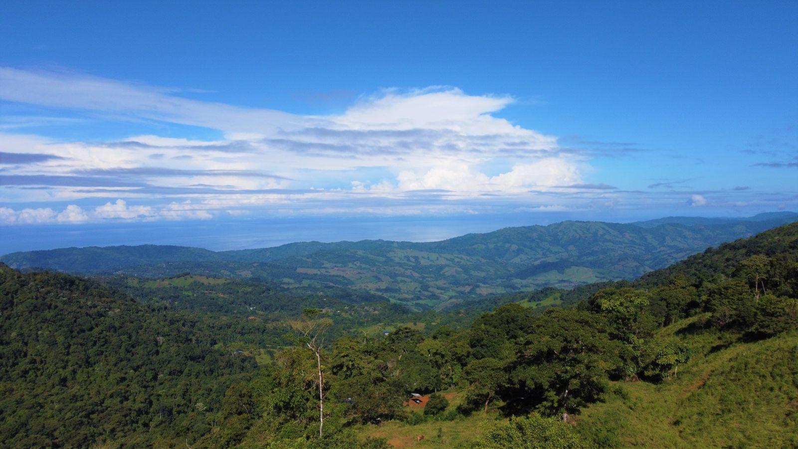 7.8 Acre Property for Sale, Alto San Juan, Tinamastes, Costa Rica — photo 2