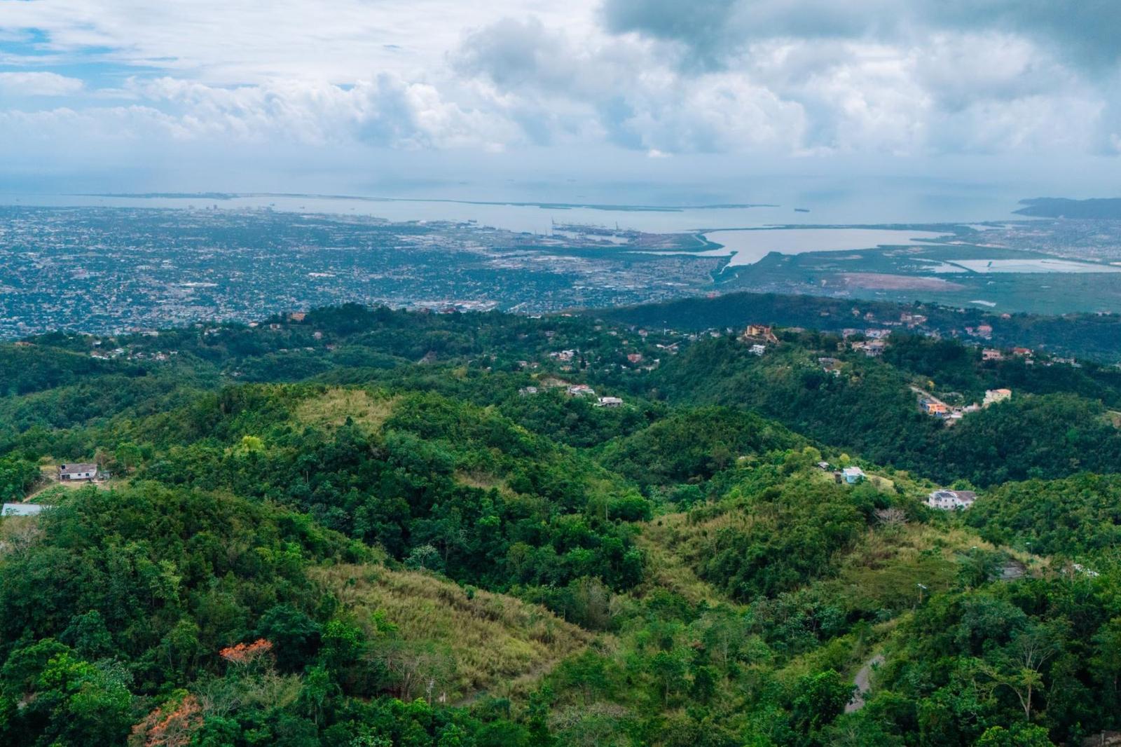 0.18 Acres of Residential Land for Sale in Cooper's Hill, Red Hills, Kingston — photo 1