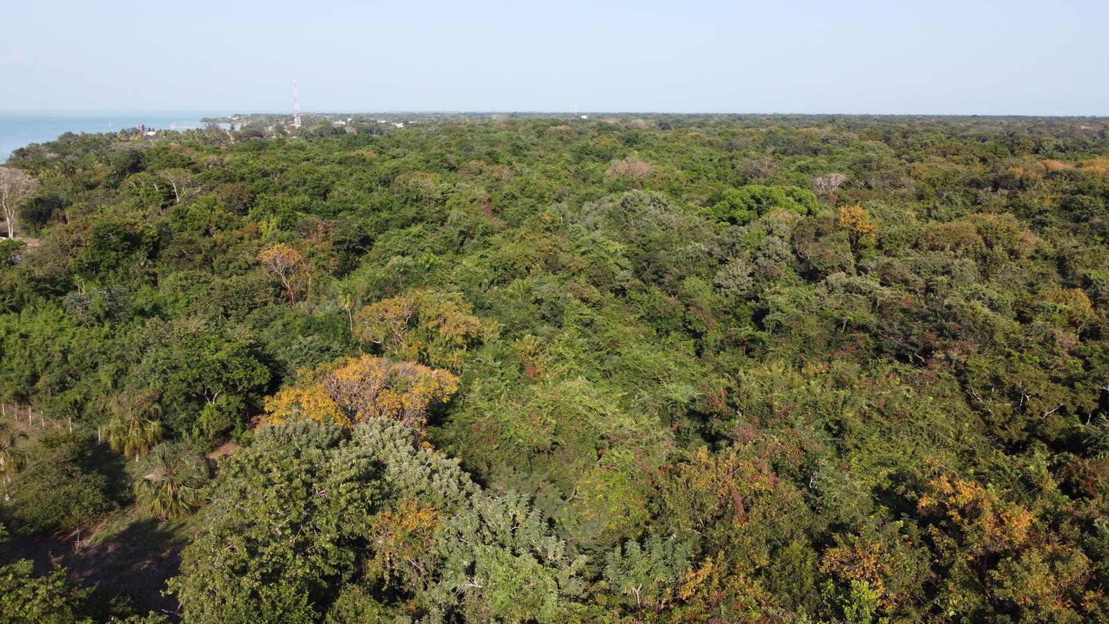 Prime Development Opportunity: 14.92 Acres at the Gateway to Sarteneja — photo 1