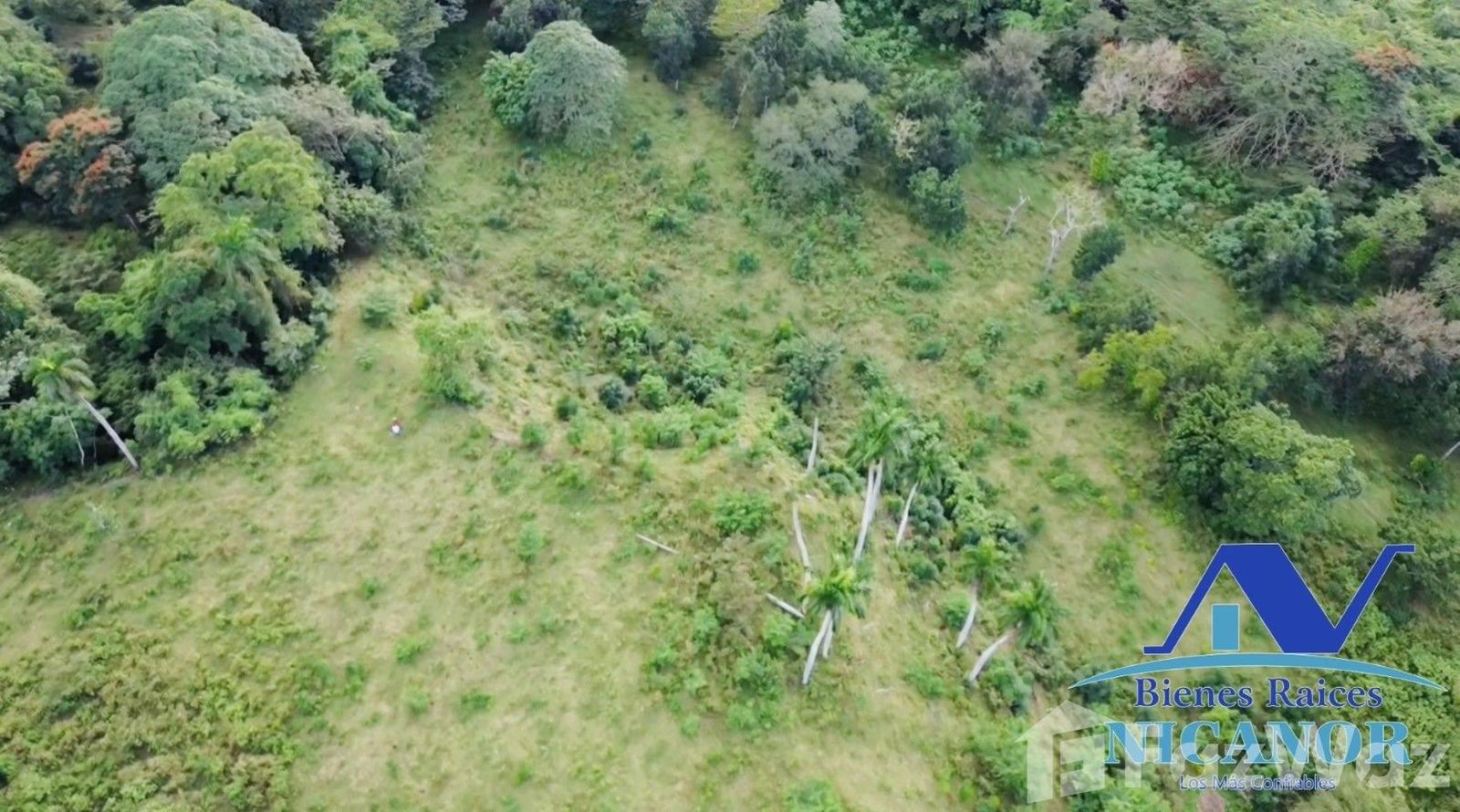 Cattle ranch for sale of 1,150 tareas in Guananico pop — photo 5