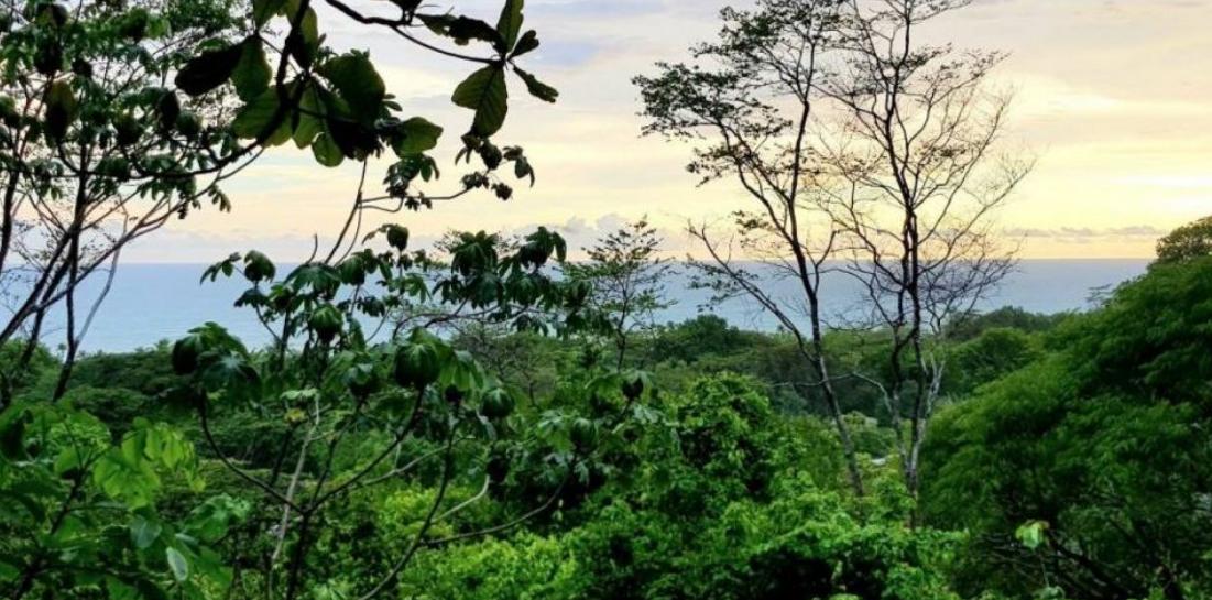 7,301 Sq M of Land for Sale, Playa Hermosa, Santa Teresa, Puntarenas, Costa Rica — photo 3