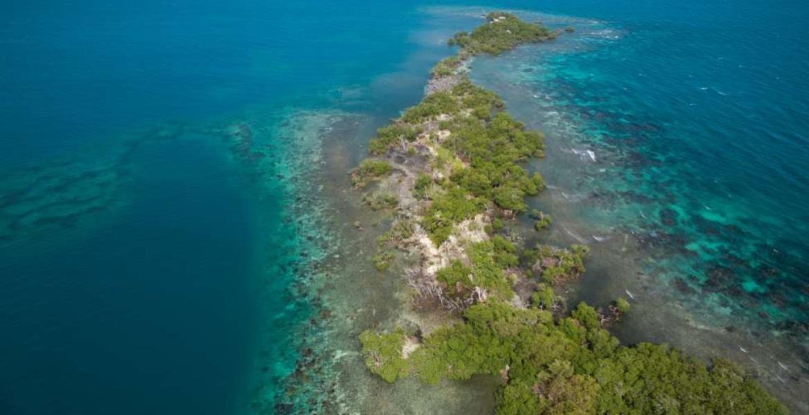 South Saddle Caye — Private Caribbean Bliss — photo 2