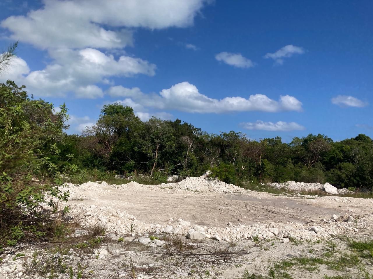 WELLFIELD STREET, Andros, The Bahamas — photo 2