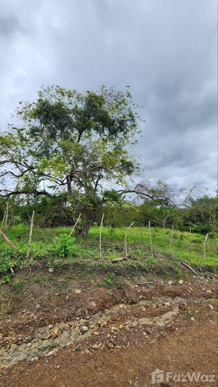 🌊🏞️ Live Between the Sea and the Mountains in Puerto Plata 🏞️🌊 — photo 5