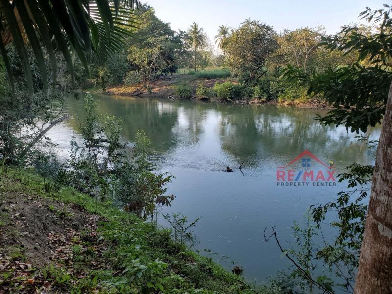 75 ACRE HARDWOOD TREE PLANTATION + 900 FT RIVER FRONTAGE - near SAN IGNACIO TOWN, CAYO, BELIZE — photo 2